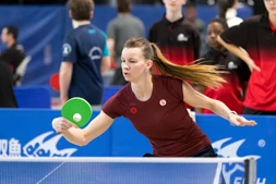 Aperçu de photo d'évènement